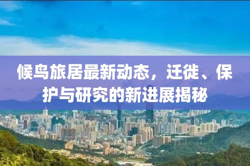 2025年6月18日