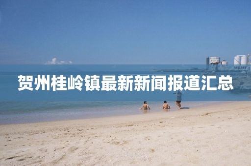 贺州桂岭镇最新新闻报道汇总