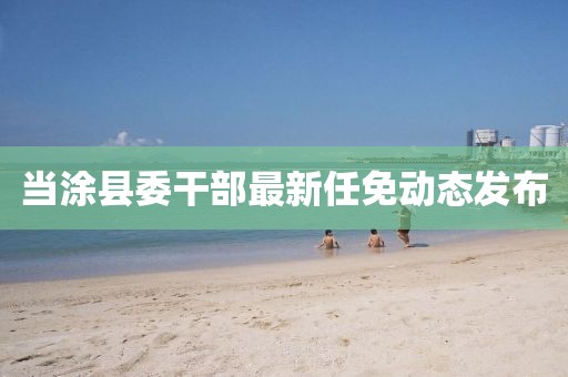当涂县委干部最新任免动态发布