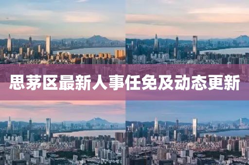 思茅区最新人事任免及动态更新