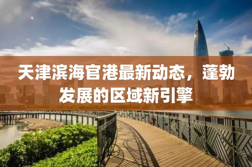 天津滨海官港最新动态，蓬勃发展的区域新引擎