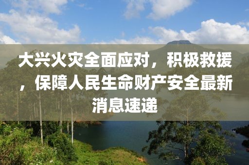 大兴火灾全面应对，积极救援，保障人民生命财产安全最新消息速递