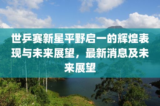 世乒赛新星平野启一的辉煌表现与未来展望，最新消息及未来展望