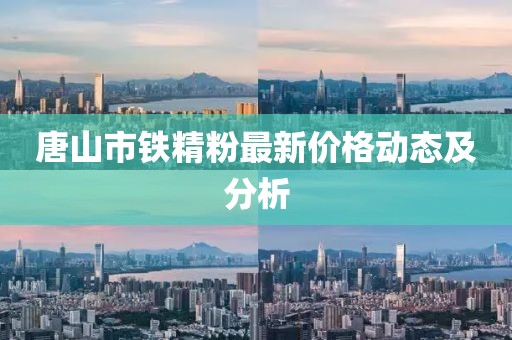 唐山市铁精粉最新价格动态及分析