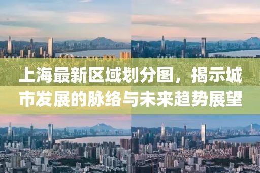 上海最新区域划分图，揭示城市发展的脉络与未来趋势展望