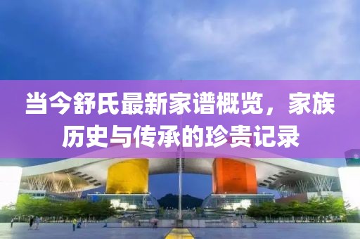 当今舒氏最新家谱概览，家族历史与传承的珍贵记录