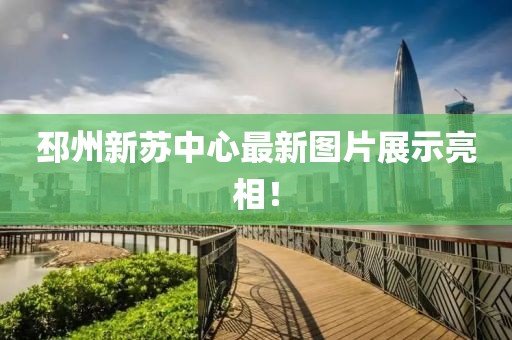 邳州新苏中心最新图片展示亮相！