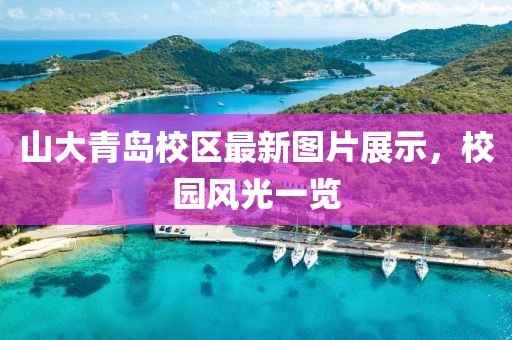 山大青岛校区最新图片展示，校园风光一览