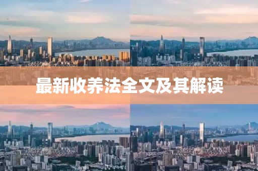 最新收养法全文及其解读