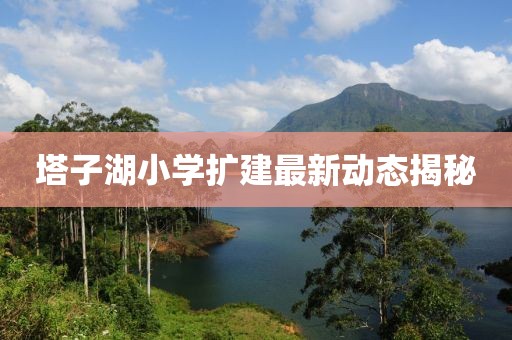 塔子湖小学扩建最新动态揭秘