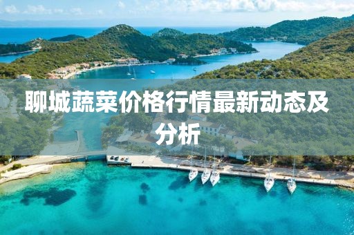 聊城蔬菜价格行情最新动态及分析