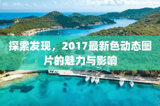 探索发现，2017最新色动态图片的魅力与影响