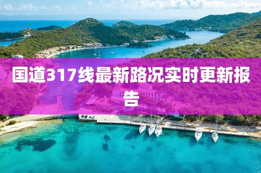 国道317线最新路况实时更新报告