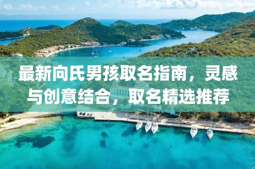 最新向氏男孩取名指南，灵感与创意结合，取名精选推荐