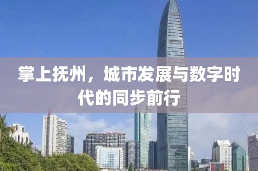 掌上抚州，城市发展与数字时代的同步前行
