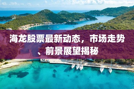海龙股票最新动态，市场走势、前景展望揭秘