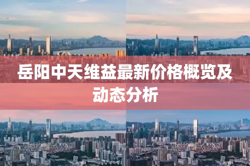 岳阳中天维益最新价格概览及动态分析