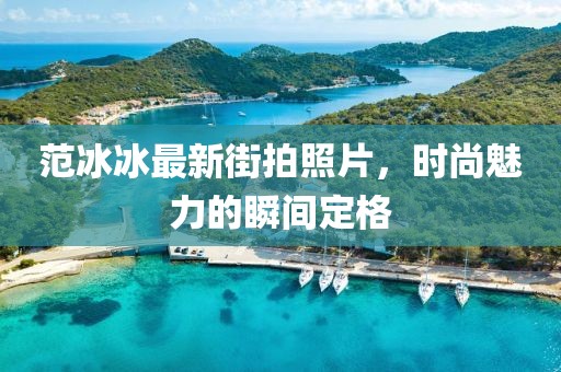 范冰冰最新街拍照片，时尚魅力的瞬间定格