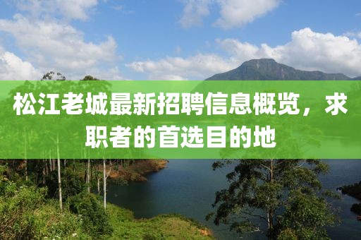松江老城最新招聘信息概览，求职者的首选目的地
