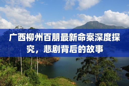 广西柳州百朋最新命案深度探究，悲剧背后的故事