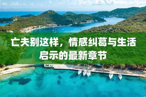 亡夫别这样，情感纠葛与生活启示的最新章节