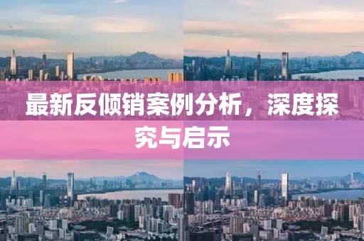 最新反倾销案例分析，深度探究与启示