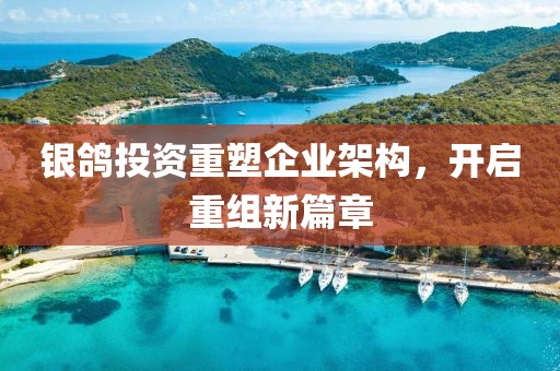 银鸽投资重塑企业架构，开启重组新篇章
