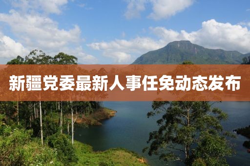 新疆党委最新人事任免动态发布