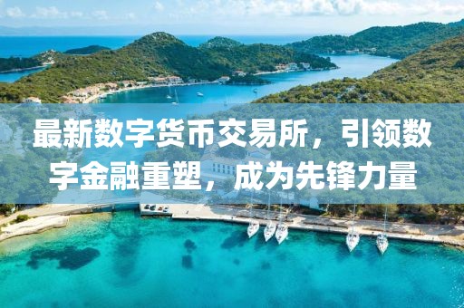 最新数字货币交易所，引领数字金融重塑，成为先锋力量