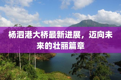 杨泗港大桥最新进展，迈向未来的壮丽篇章