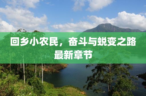 回乡小农民，奋斗与蜕变之路最新章节