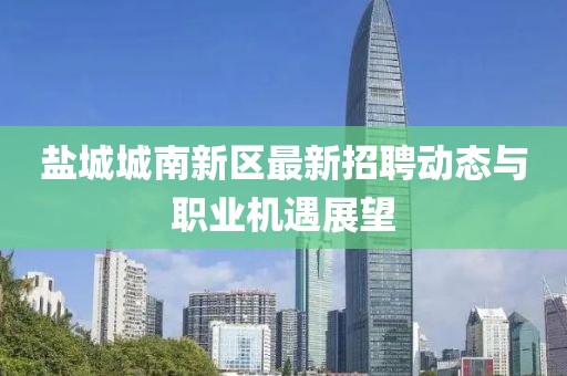 盐城城南新区最新招聘动态与职业机遇展望