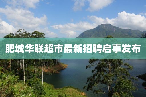 肥城华联超市最新招聘启事发布