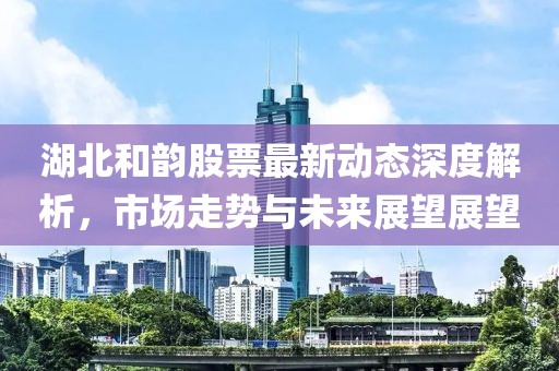 湖北和韵股票最新动态深度解析，市场走势与未来展望展望