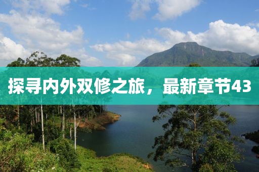 探寻内外双修之旅，最新章节43