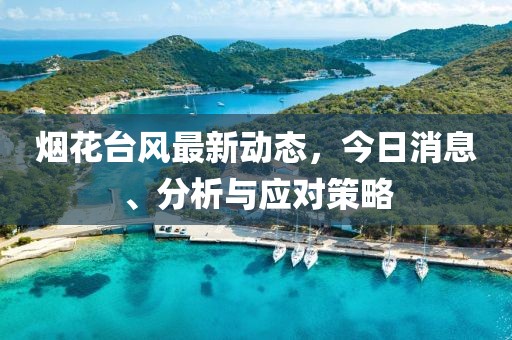 烟花台风最新动态，今日消息、分析与应对策略