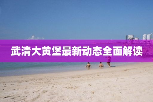 武清大黄堡最新动态全面解读