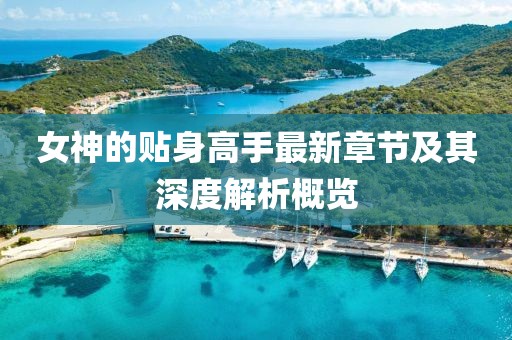 女神的贴身高手最新章节及其深度解析概览