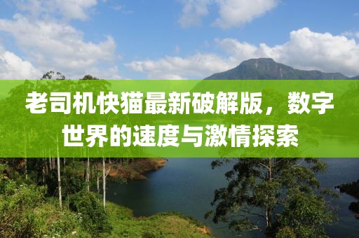 老司机快猫最新破解版，数字世界的速度与激情探索