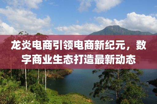 龙炎电商引领电商新纪元，数字商业生态打造最新动态