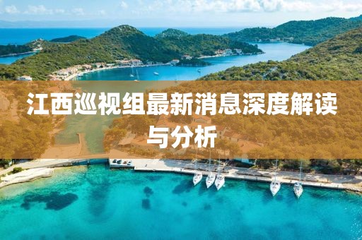 江西巡视组最新消息深度解读与分析