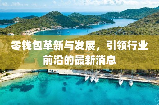 零钱包革新与发展，引领行业前沿的最新消息