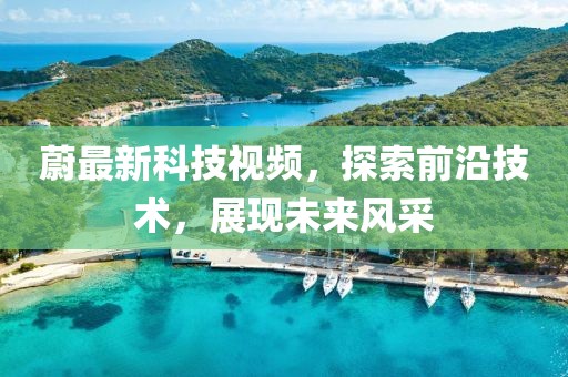蔚最新科技视频，探索前沿技术，展现未来风采