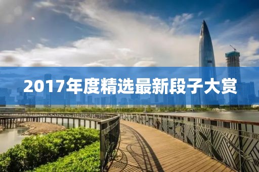 2017年度精选最新段子大赏