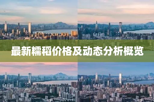 最新糯稻价格及动态分析概览
