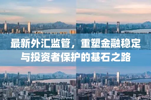 最新外汇监管，重塑金融稳定与投资者保护的基石之路