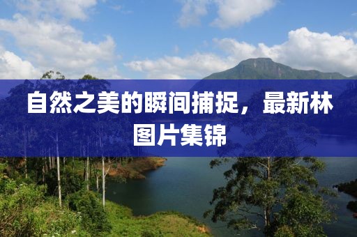 自然之美的瞬间捕捉，最新林图片集锦