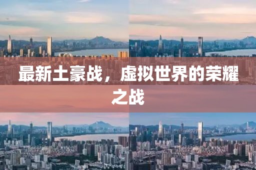 最新土豪战，虚拟世界的荣耀之战
