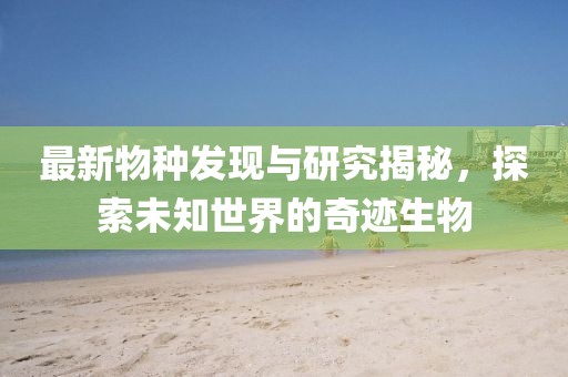 2025年7月8日 第4页