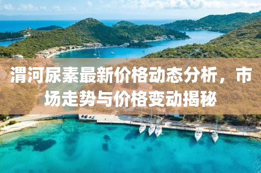 渭河尿素最新价格动态分析，市场走势与价格变动揭秘